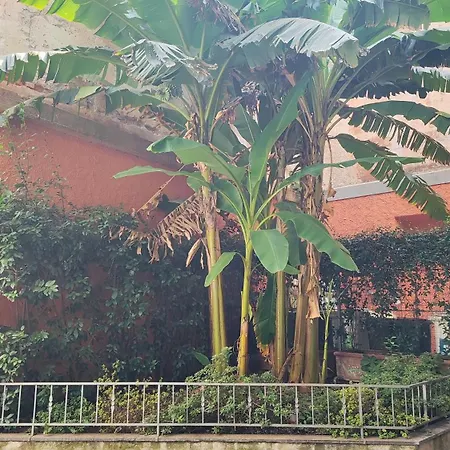 Suite51 Apartman